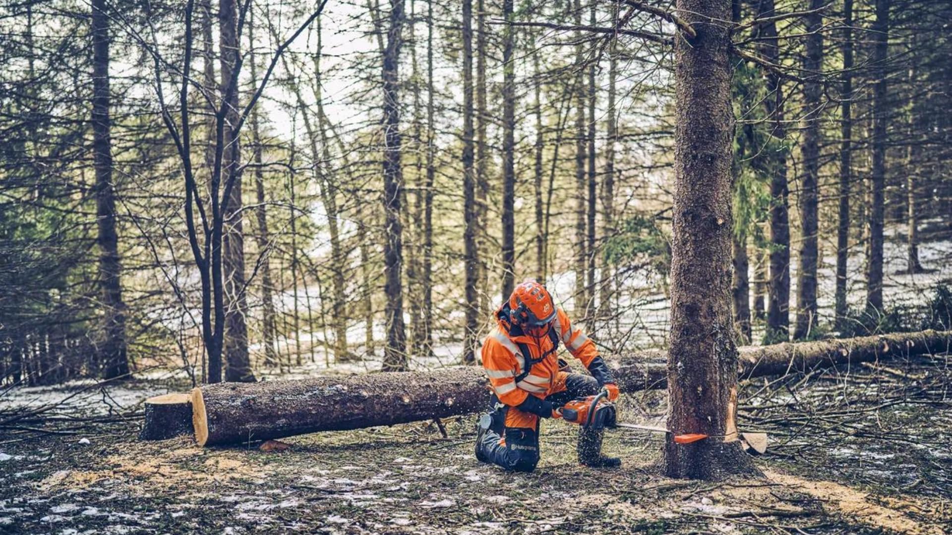 Husqvarna 562 XP Benzin Kettensäge - Benzin Kettensäge