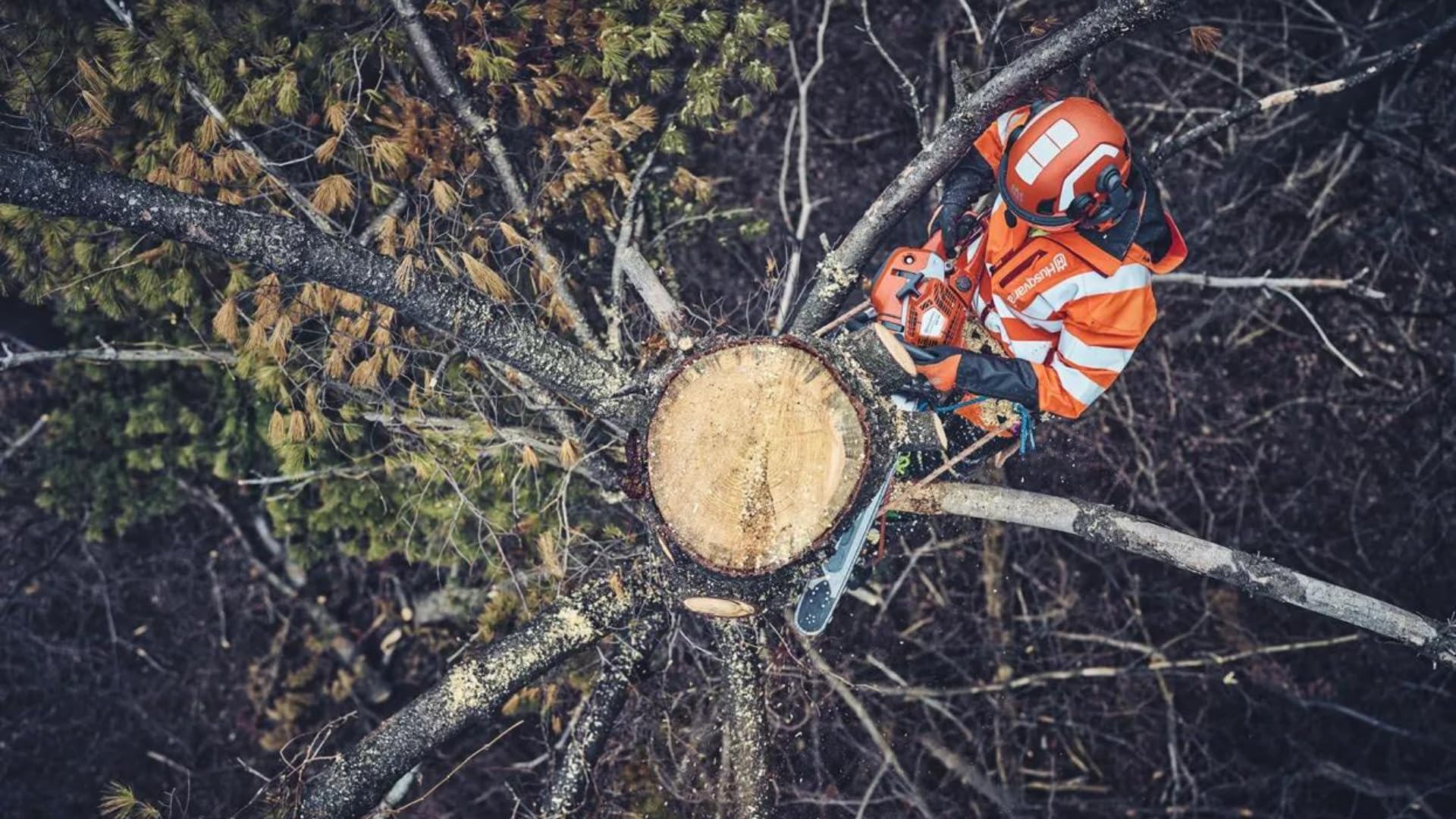 Husqvarna 562 XP Benzin Kettensäge - Benzin Kettensäge