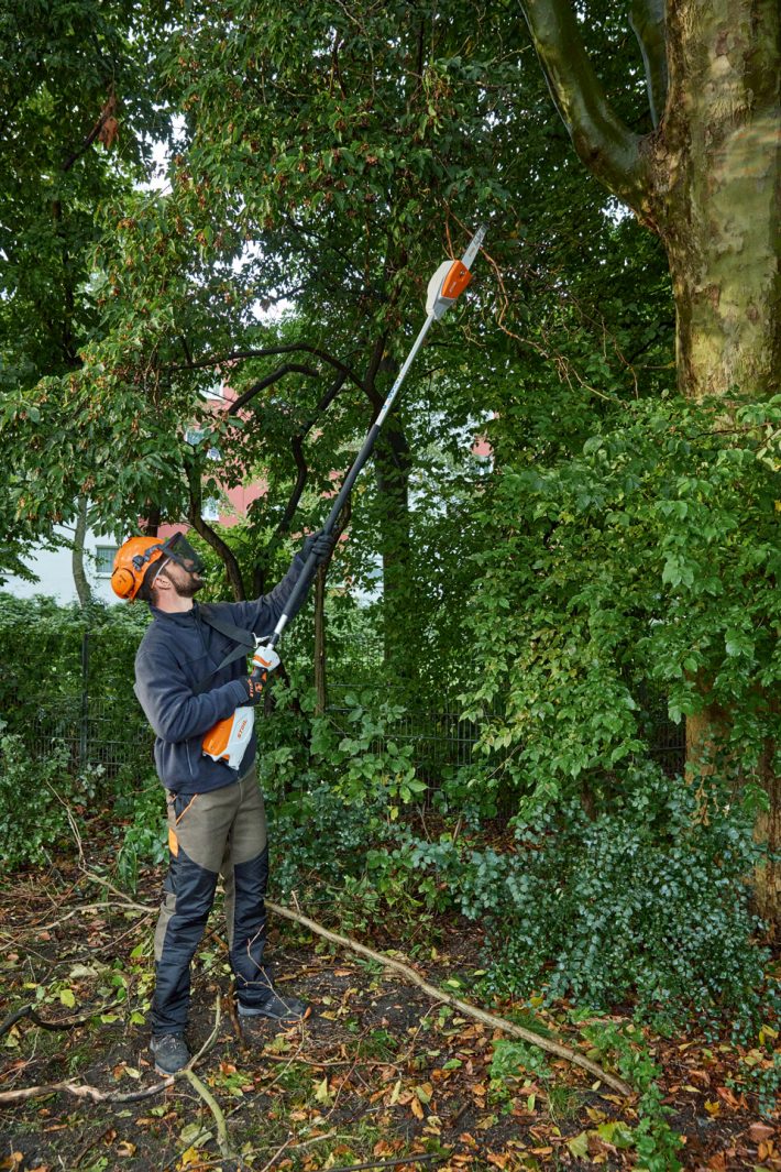 Stihl HTA 86 Hochentaster, ohne Akku und ohne Ladegerät